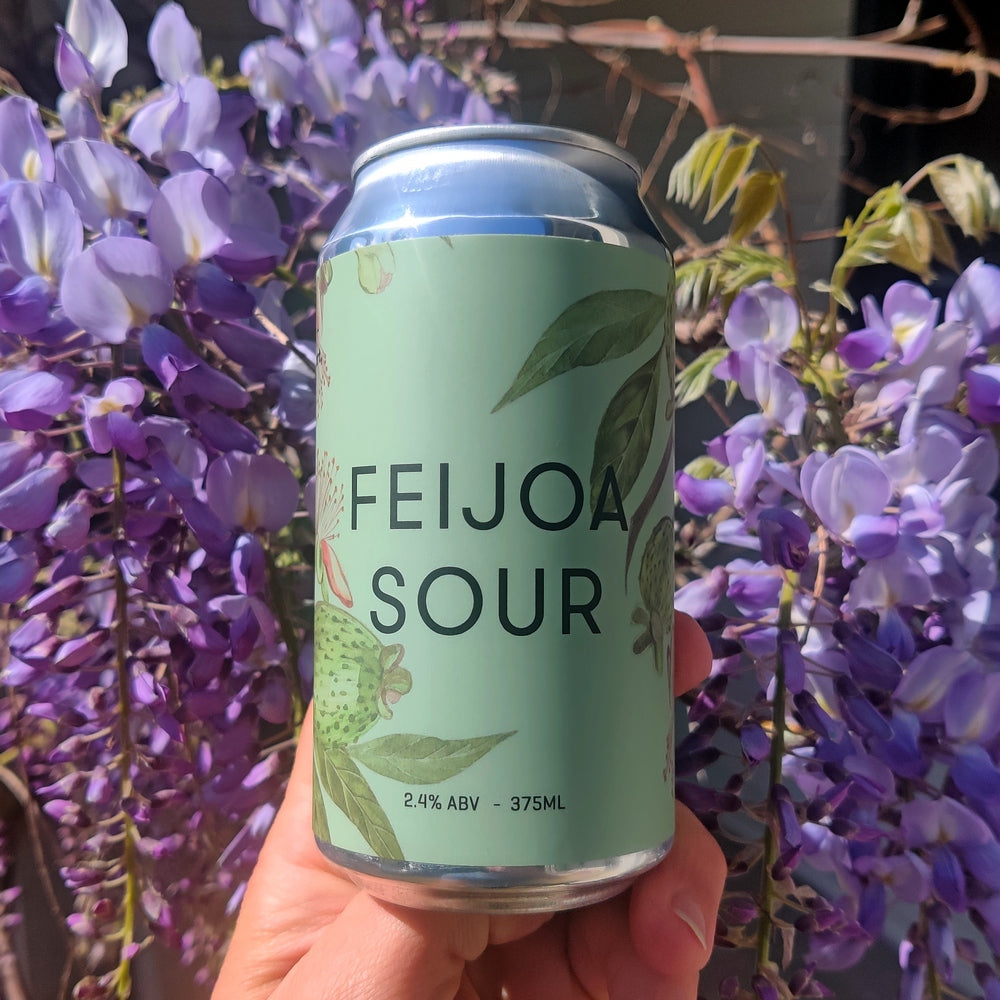 This is a photo of a green can of beer that has been made by Ocho and it is called Fiejoa Sour.