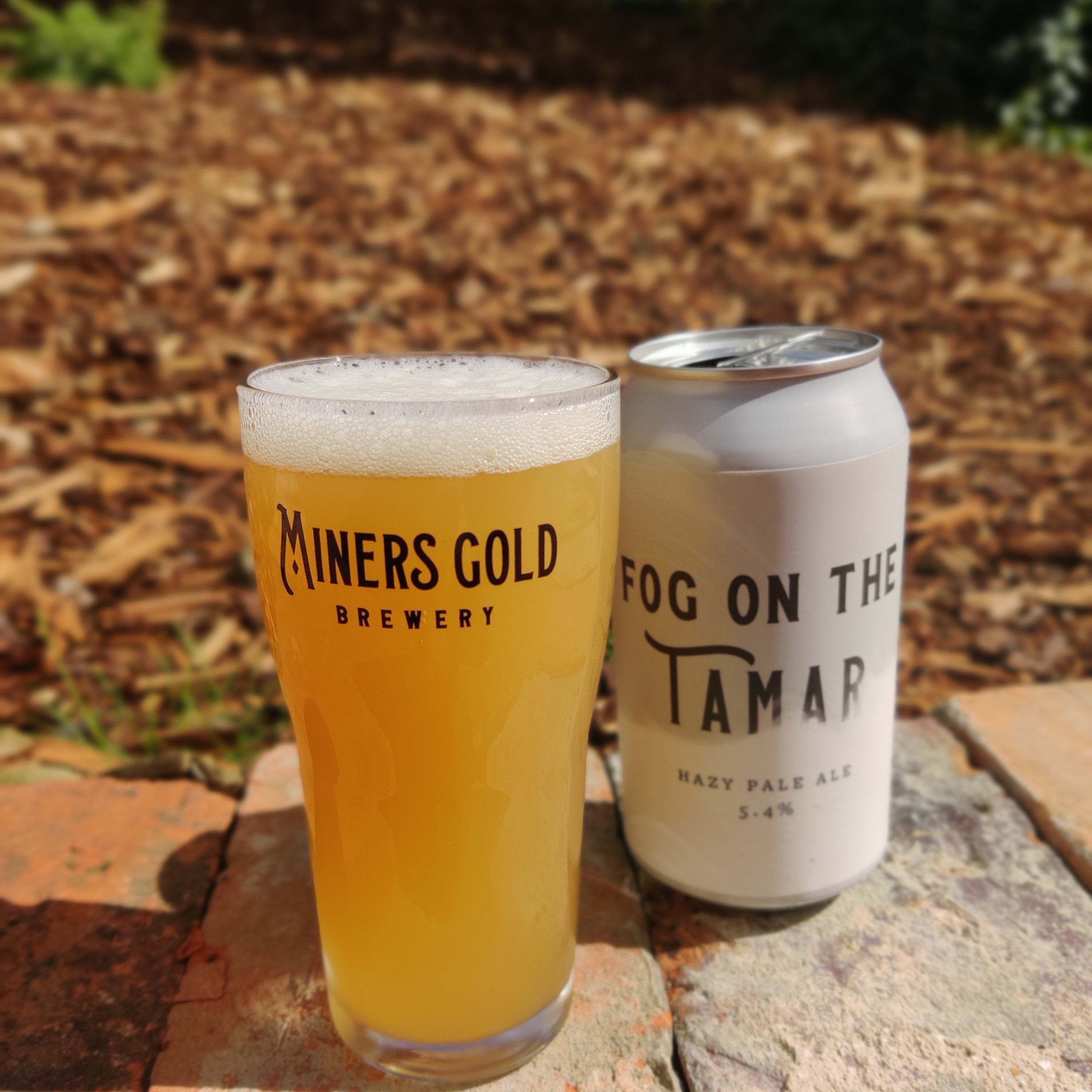 This is a photo of a white can of beer and a glass of beer that has been made by Miners Gold Brewery. It is called Fog On The Tamar. The beer is a Hazy Pale Ale and is 5.4% ABV. 