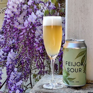 Feijoa Sour