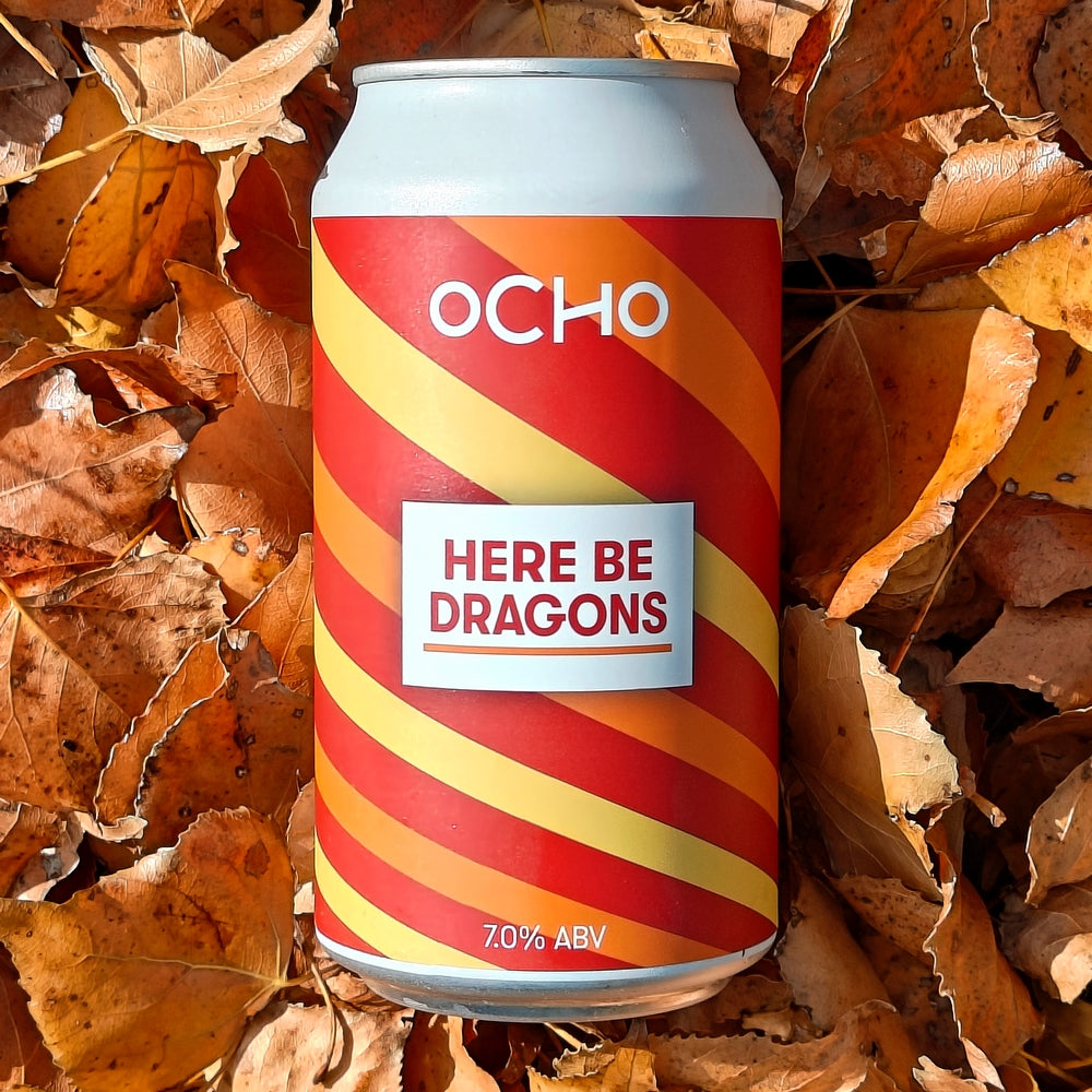 Photo of a can of Here Be Dragons beer can laying in shed autumn leaf's